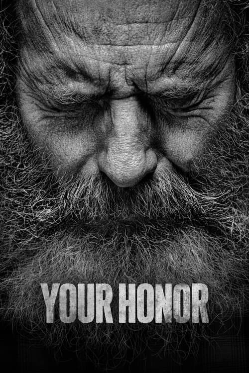 Your Honor (Phần 2)