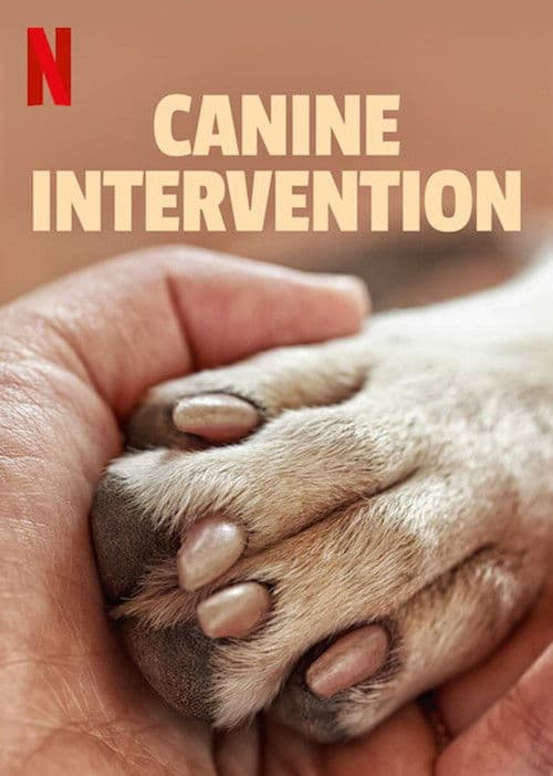 Cali K9: Trường huấn khuyển