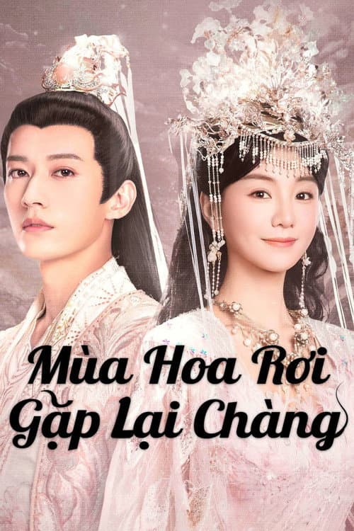 Mùa Hoa Rơi Gặp Lại Chàng