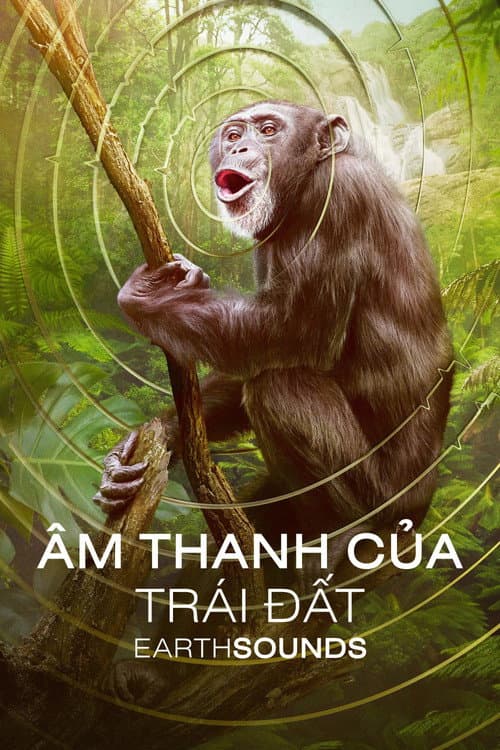 Âm Thanh Của Trái Đất - Earthsounds