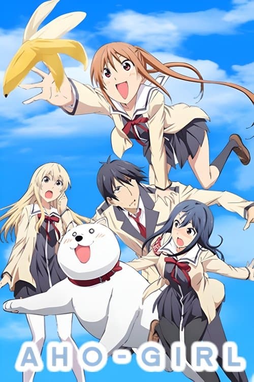 Cô Nàng Ngốc - Aho Girl
