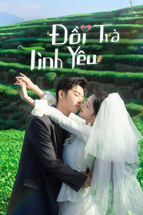 Đồi Trà Tình Yêu