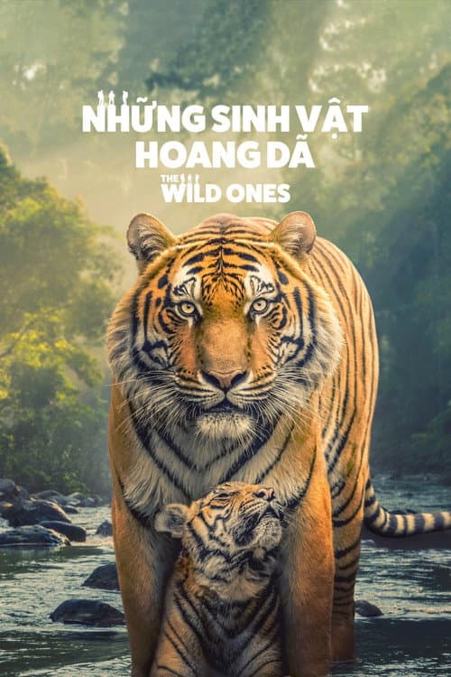 Những Sinh Vật Hoang Dã