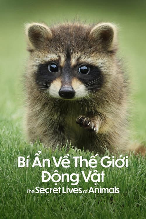Bí Ẩn Về Thế Giới Động Vật
