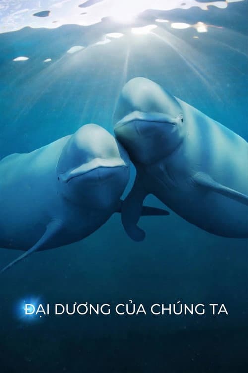 Đại dương của chúng ta