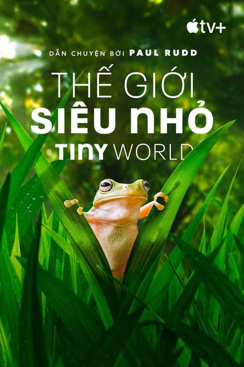 Thế Giới Siêu Nhỏ (Phần 2)